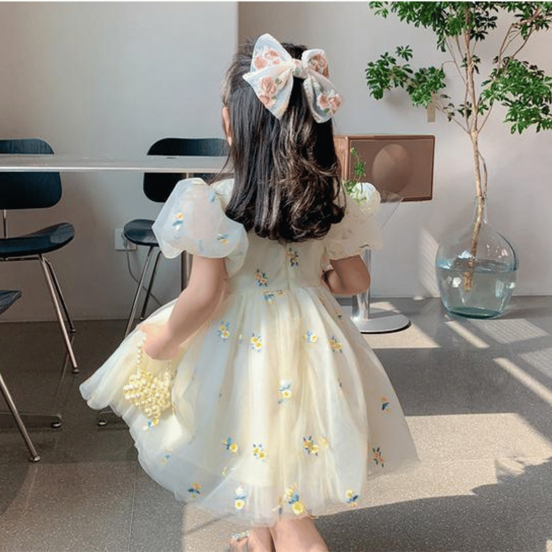 Daisy Embroidered Tulle Baby Princess Dress
