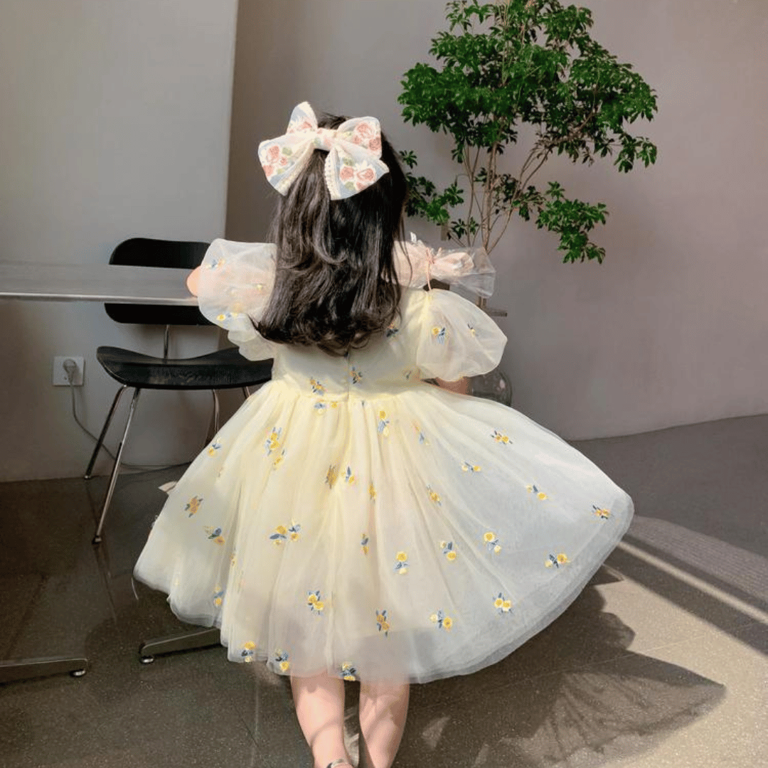 Daisy Embroidered Tulle Baby Princess Dress