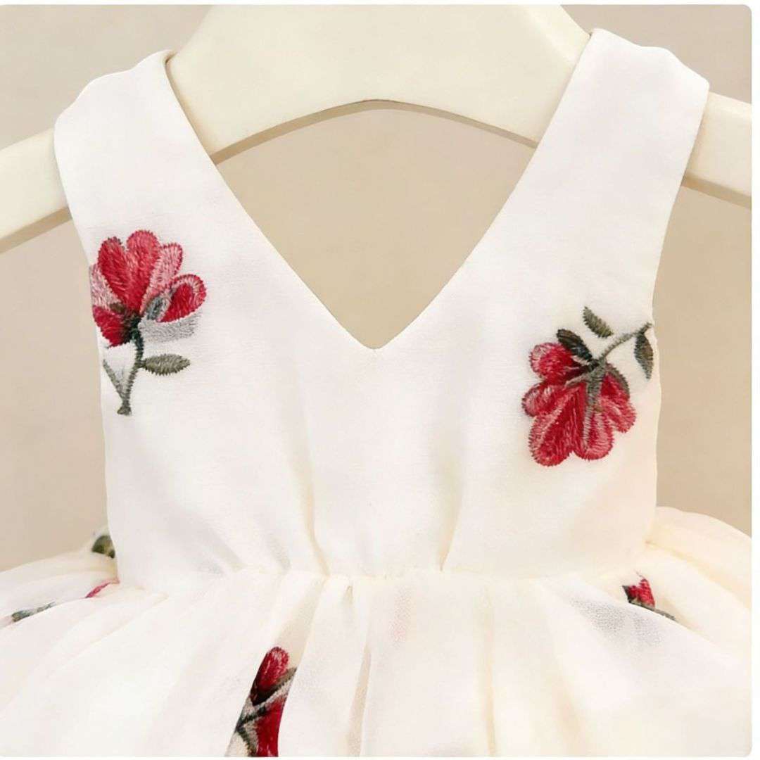 Scarlet Daisy Bloom Party Dress