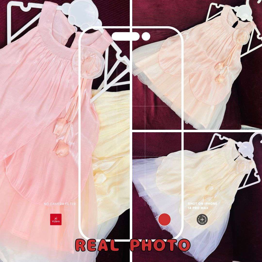 Blush Blossom Rose Princess Baby Dress