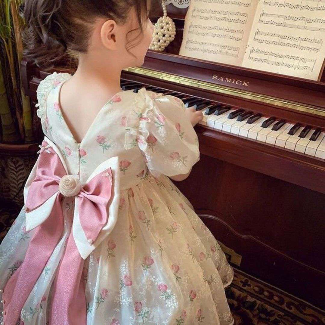 Vintage Rose Princess Dress