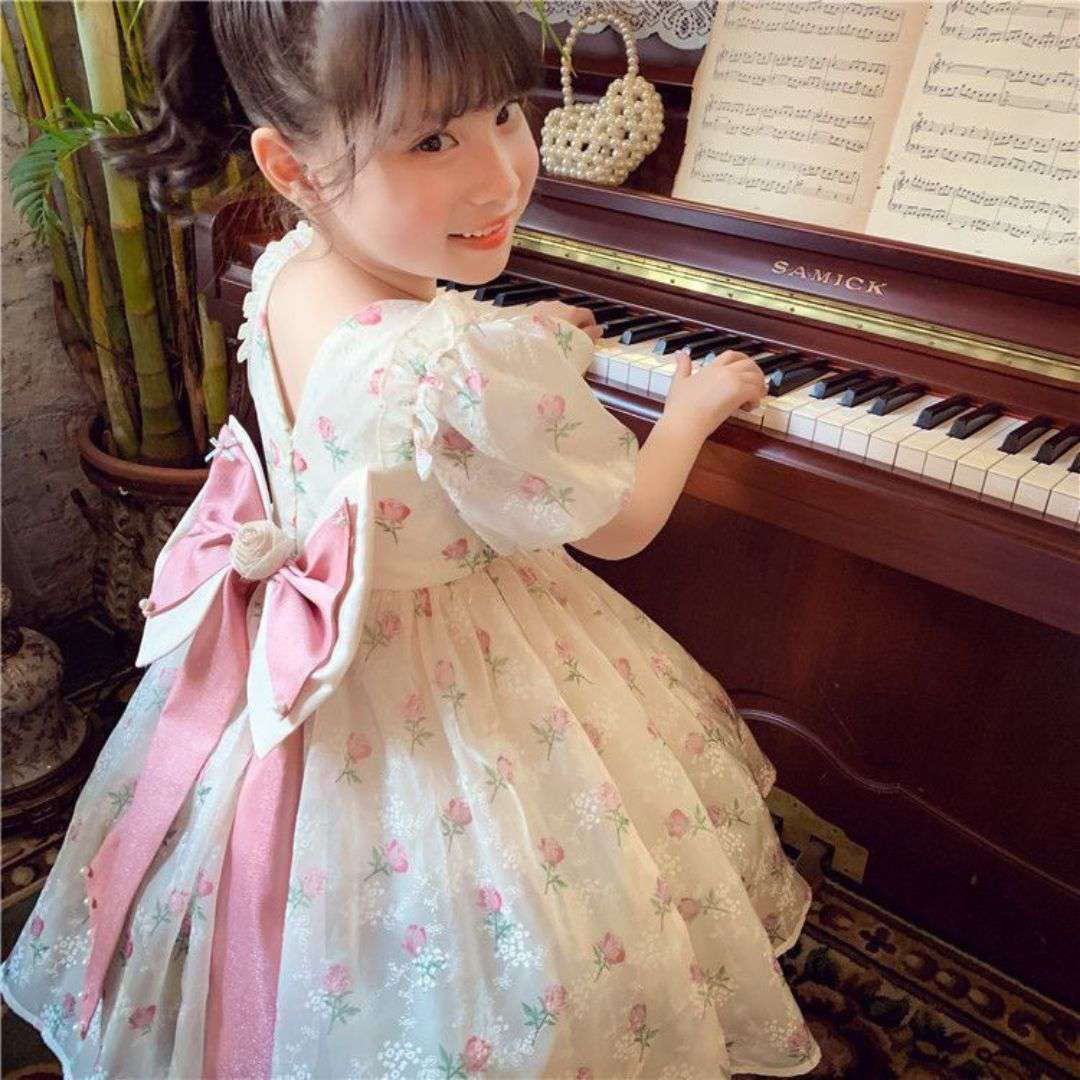 Vintage Rose Princess Dress
