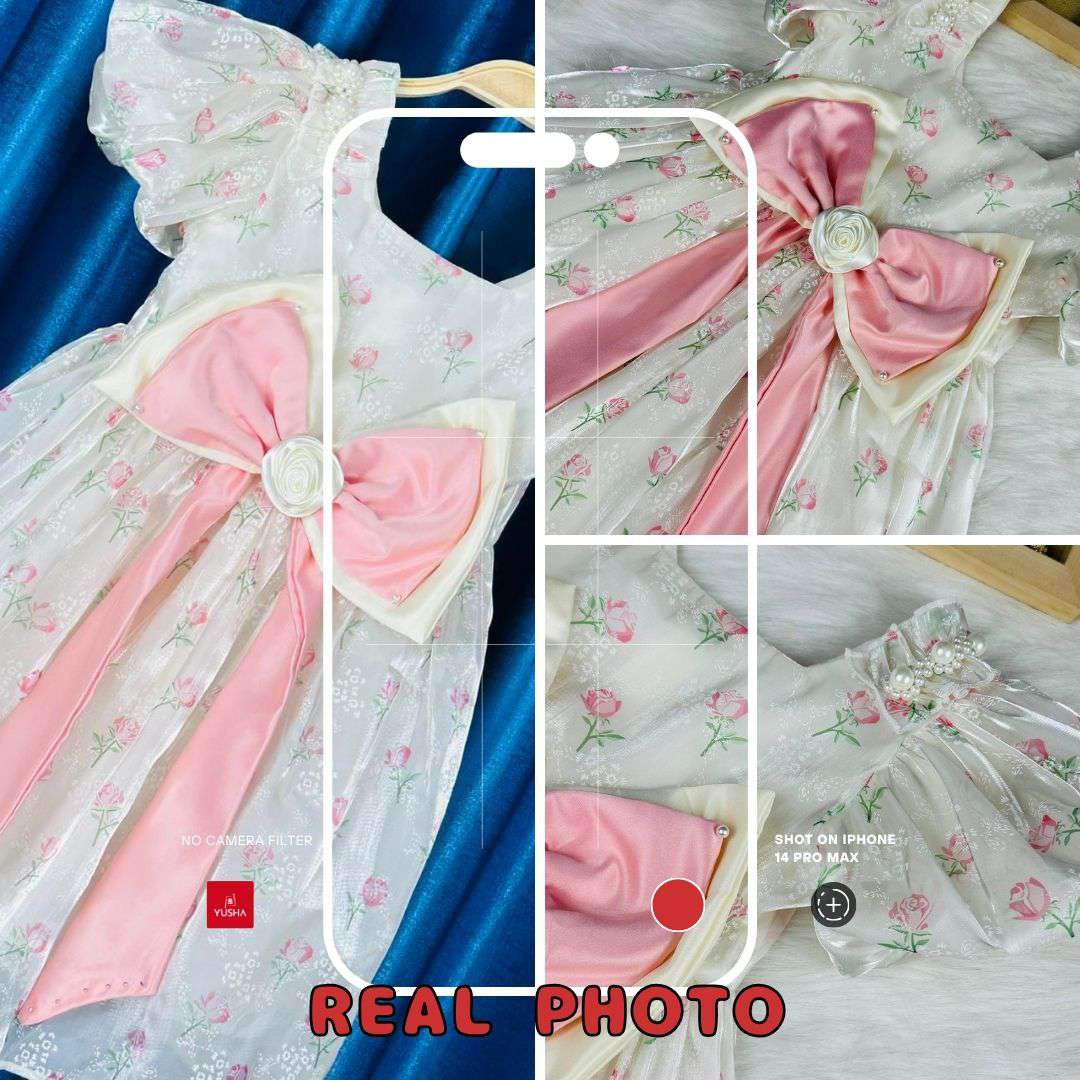 Vintage Rose Princess Dress