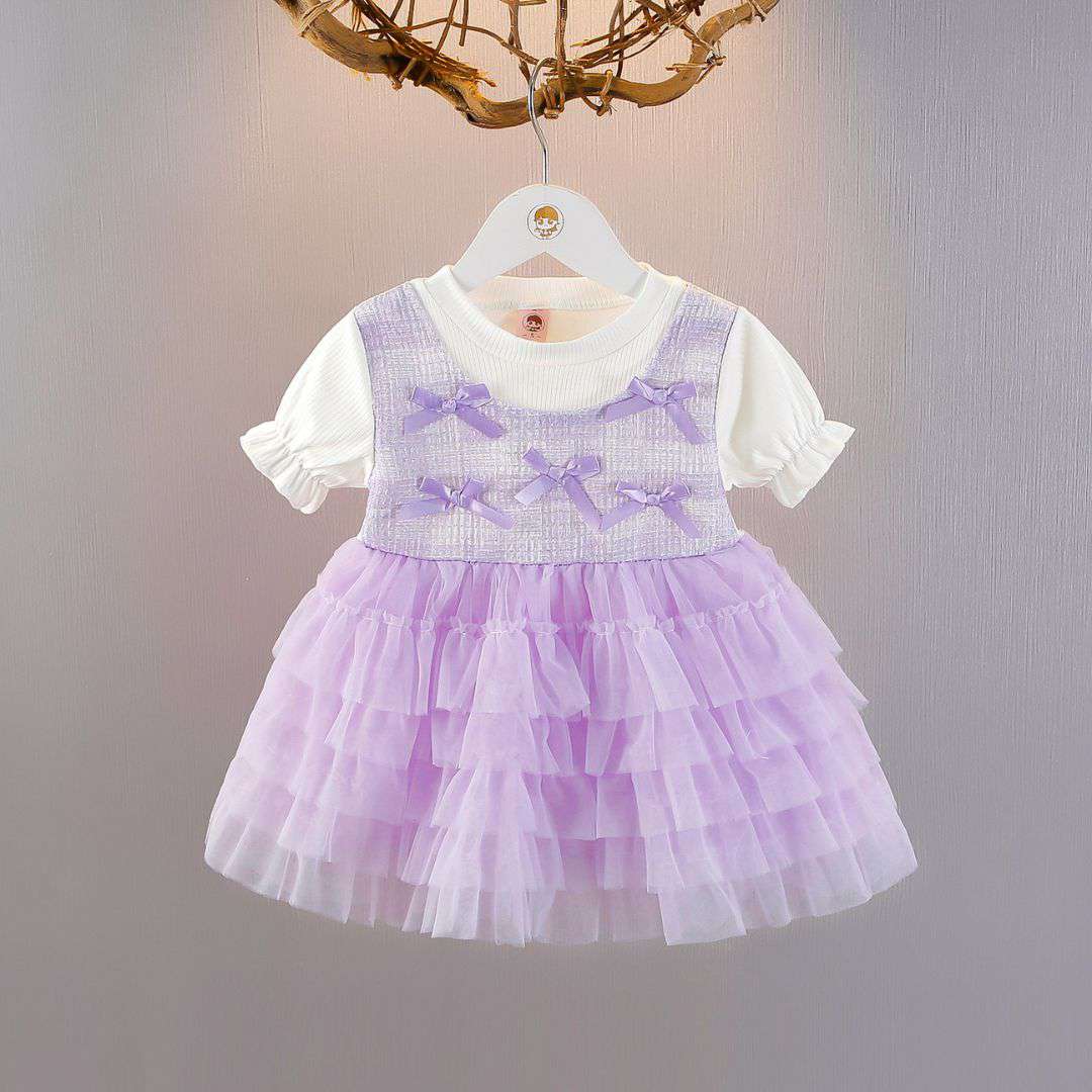 Baby Girl Layered Tulle Princess Dress