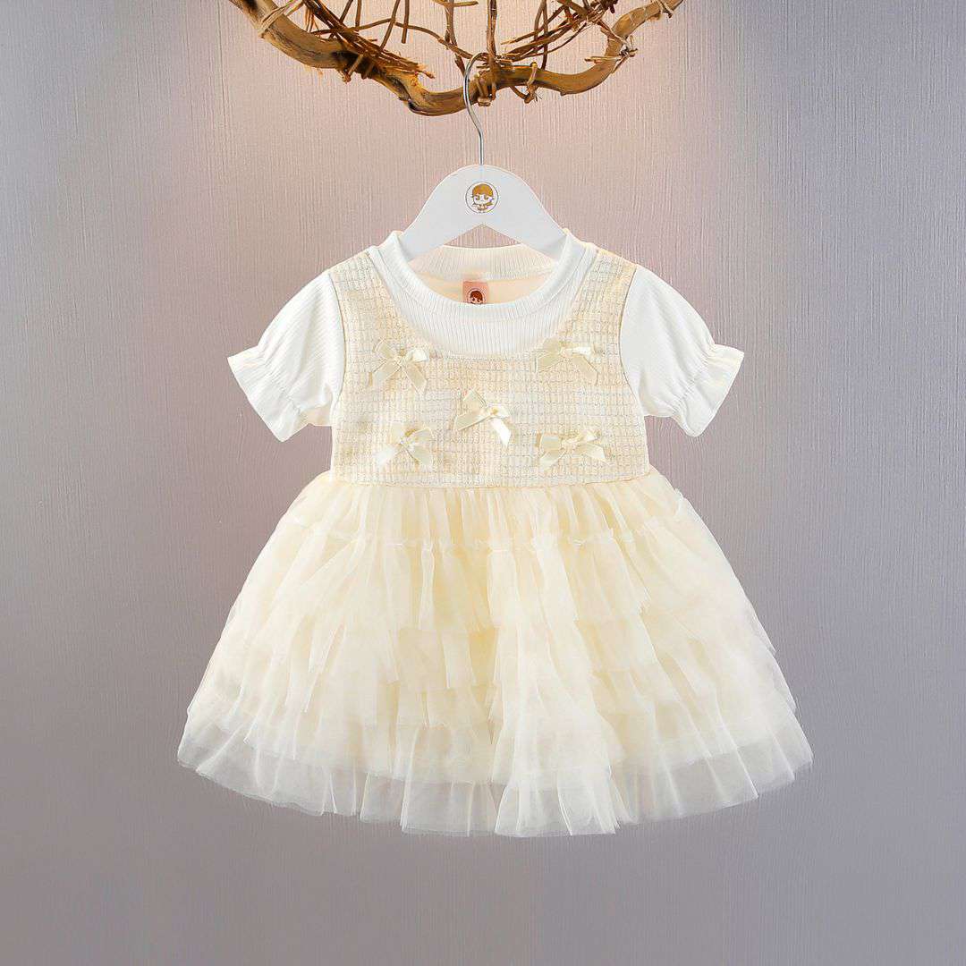 Baby Girl Layered Tulle Princess Dress
