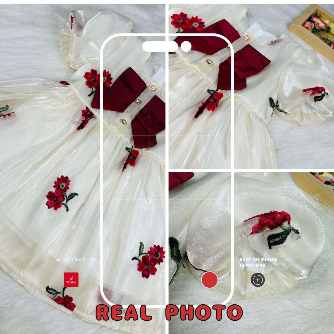 Luxury Floral Embroidered Princess Dress