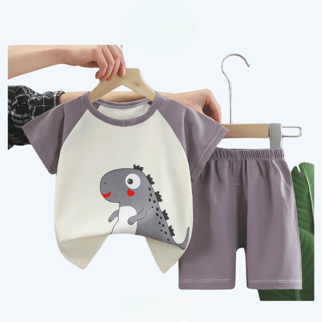 Gray Dino Kids T-Shirt Set